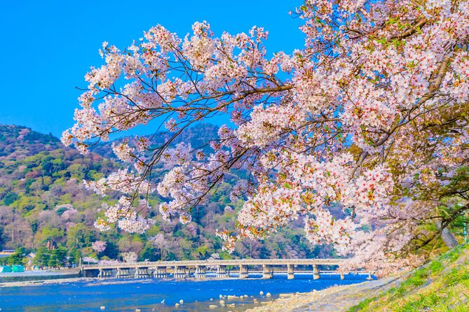 Kyoto 6hr Instagram Highlights Private Tour with Licensed Guide - Kenninji Temple and a quieter garden break
