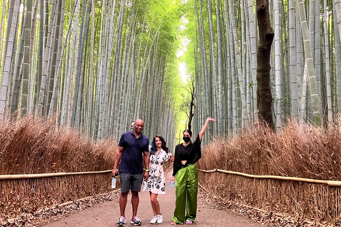 Kyoto 8hr Private Tour with Government-Licensed Guide - Northern Kyoto for famous temples and quieter compounds