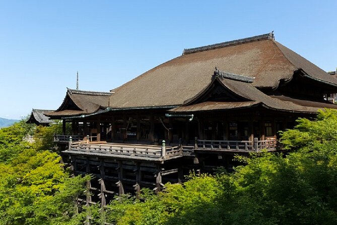 Kyoto Afternoon Tour from Kyoto or Osaka - Practical details that matter