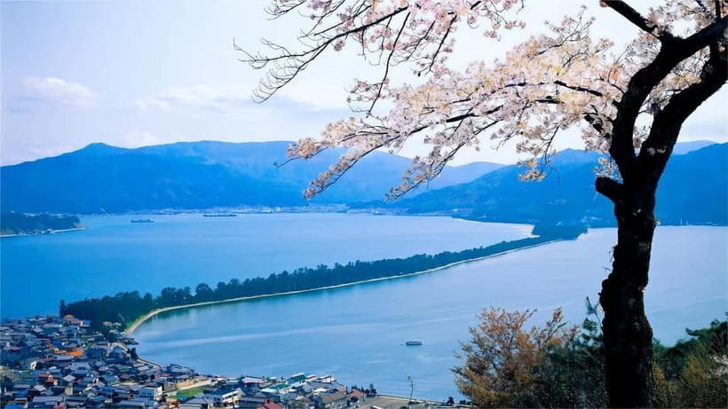 Kyoto: Amanohashidate Ine Funaya Tour - A scenic coach ride with a practical tradeoff