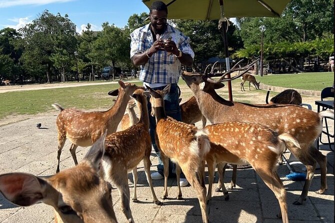 Kyoto and Nara Private Car Tour with a Local English Guide Driver - What a 10-hour private day really gives you