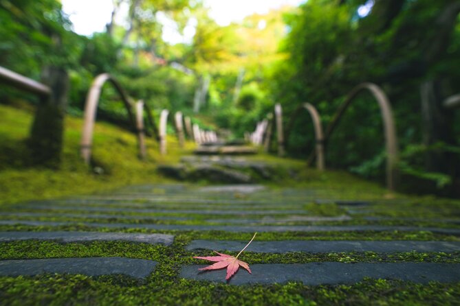 Kyoto Arashiyama Bamboo forest & Garden Half-Day Walking Tour - Bamboo Forest Street before the crowds build