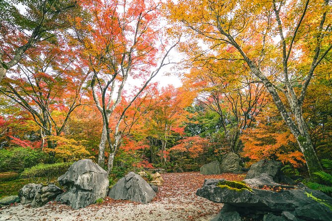 Kyoto Arashiyama Bamboo forest & Garden Half-Day Walking Tour - Tenryuji Temple and Zen garden time