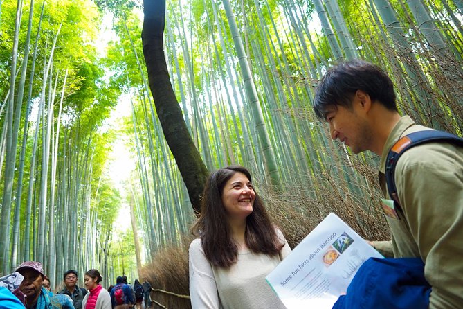 Kyoto Arashiyama Bamboo forest & Garden Half-Day Walking Tour - Starting at Saga-Arashiyama Station