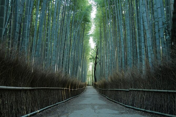 Kyoto Arashiyama Bamboo Forest Hiking Tour（Hidden Temples） - Key points at a glance