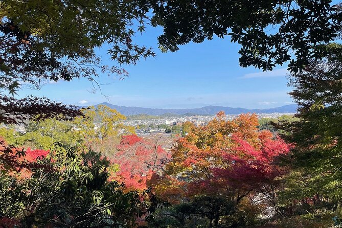 Kyoto Arashiyama Bamboo Forest Hiking Tour（Hidden Temples） - Why this Arashiyama walk is more than a bamboo photo stop