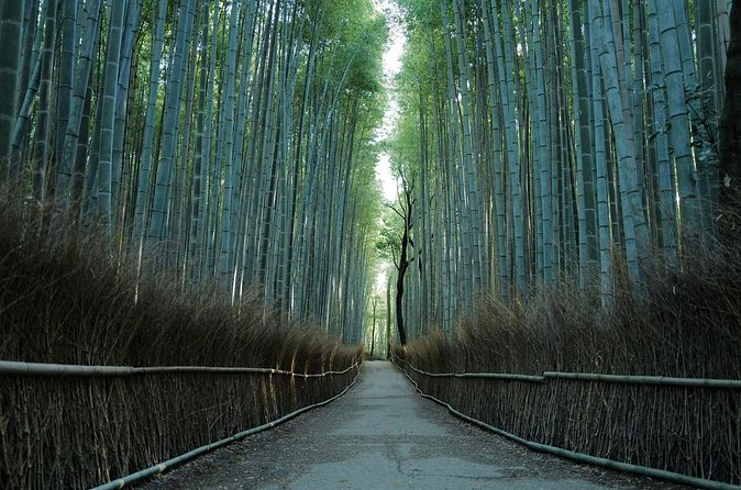 Kyoto Arashiyama Bamboo Forest Hiking Tour（Hidden Temples） - The uphill trail and Kyoto views