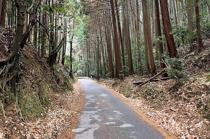 Kyoto Arashiyama Bamboo Forest Hiking Tour（Hidden Temples） - What $52.71 buys you