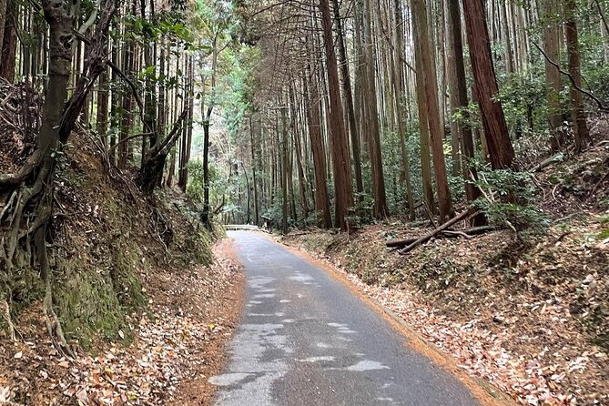 Kyoto Arashiyama Bamboo Forest Hiking Tour（Hidden Temples） - Practical advice for a better morning