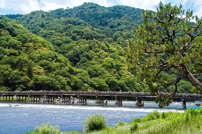 Kyoto: Arashiyama Bamboo Forest, Monkeys, Matcha & Temple Tour - Key points at a glance