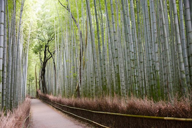 Kyoto Arashiyama Bamboo Forest & Scenery Customized Private Tour - Starting at JR Saga-Arashiyama Station