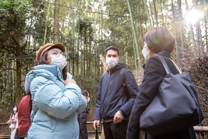 Kyoto Arashiyama Bamboo Forest & Scenery Customized Private Tour - Jojakko-ji and Nison-in on Mt Ogura