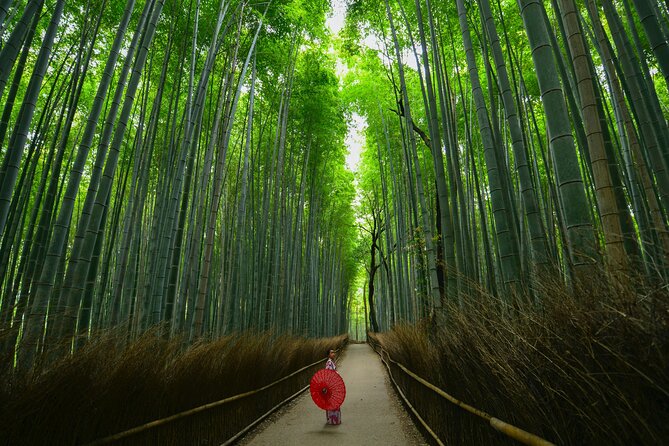 Kyoto: Arashiyama Bamboo, Temple, Matcha, Monkeys & secret spots - Togetsukyo Bridge and the Katsura River