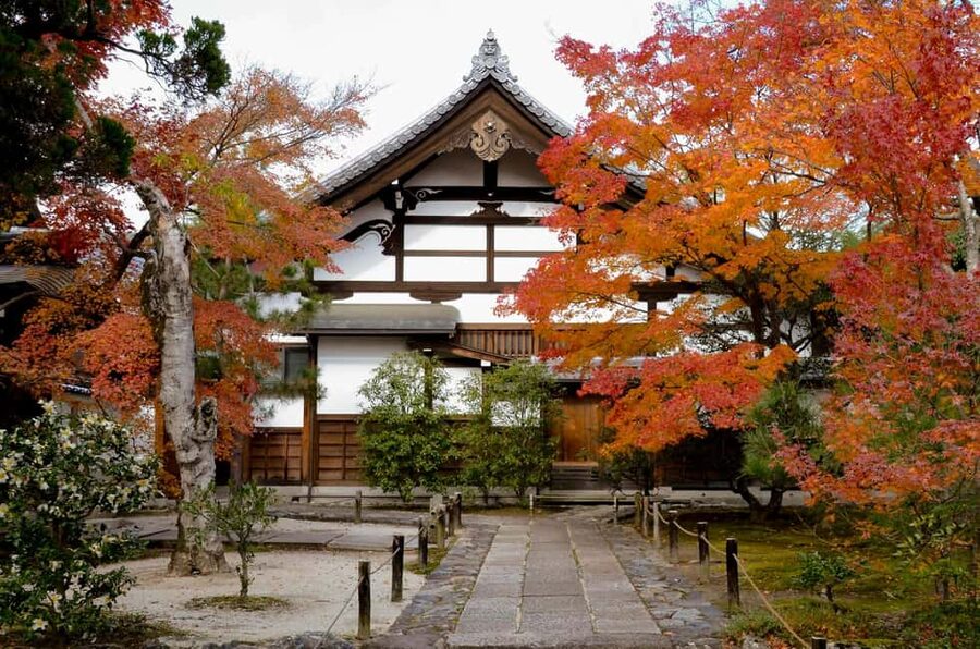 Kyoto: Arashiyama Bamboo, Togetsukyo bridge, Sanso, and more - Key points to know before you book