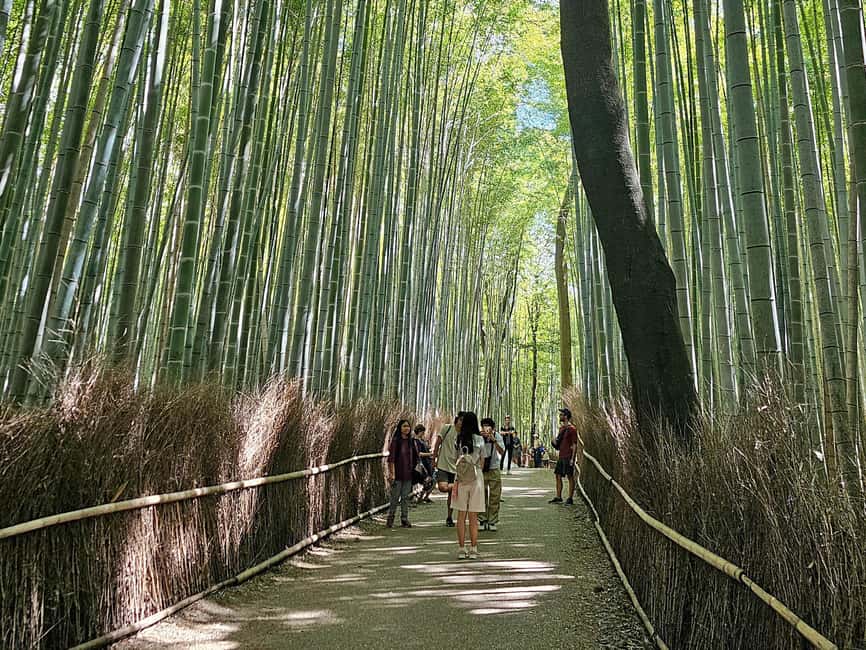 Kyoto: Arashiyama Bamboo, Togetsukyo bridge, Sanso, and more - How much walking should you expect?