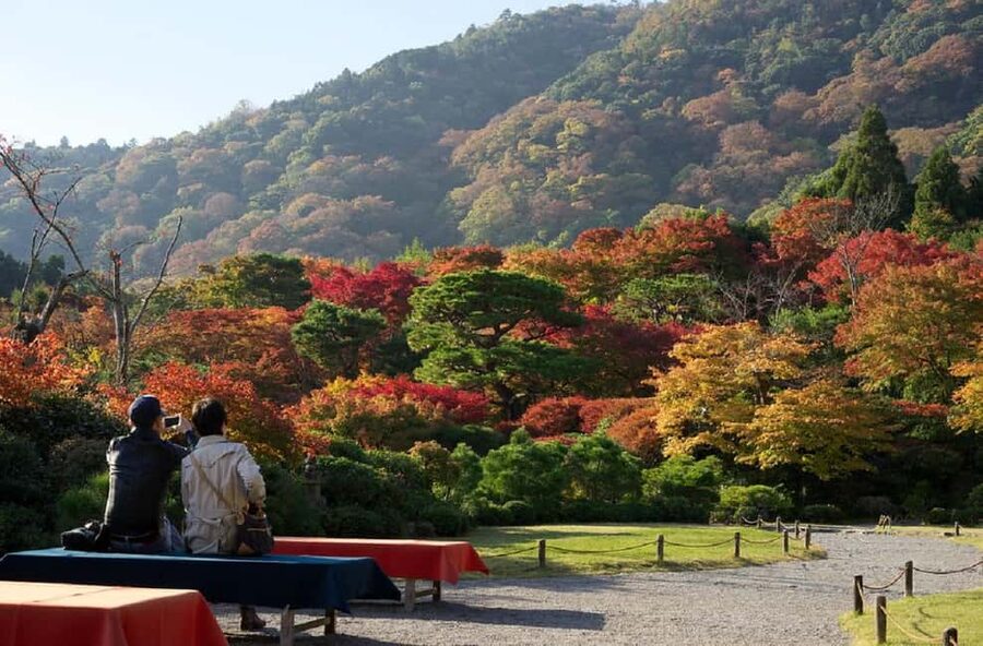 Kyoto: Arashiyama Bamboo, Togetsukyo bridge, Sanso, and more - Walking beneath the Sagano Bamboo