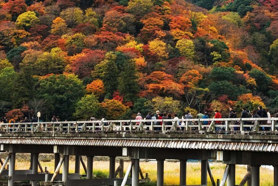 Kyoto: Arashiyama Bamboo, Togetsukyo bridge, Sanso, and more - Kimono Forest, where old Kyoto meets modern art