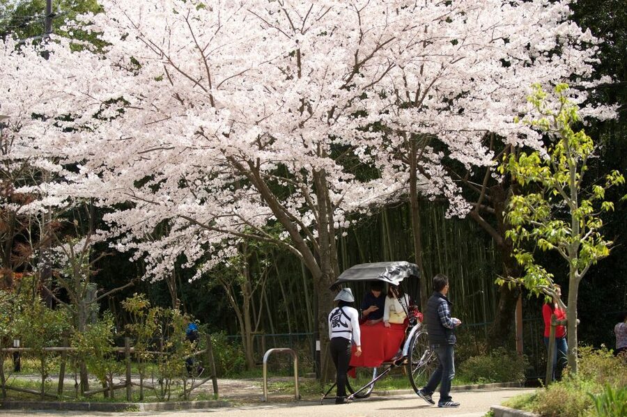 Kyoto: Arashiyama Customized Rickshaw Tour & Bamboo Forest - Planning the rest of your Arashiyama day
