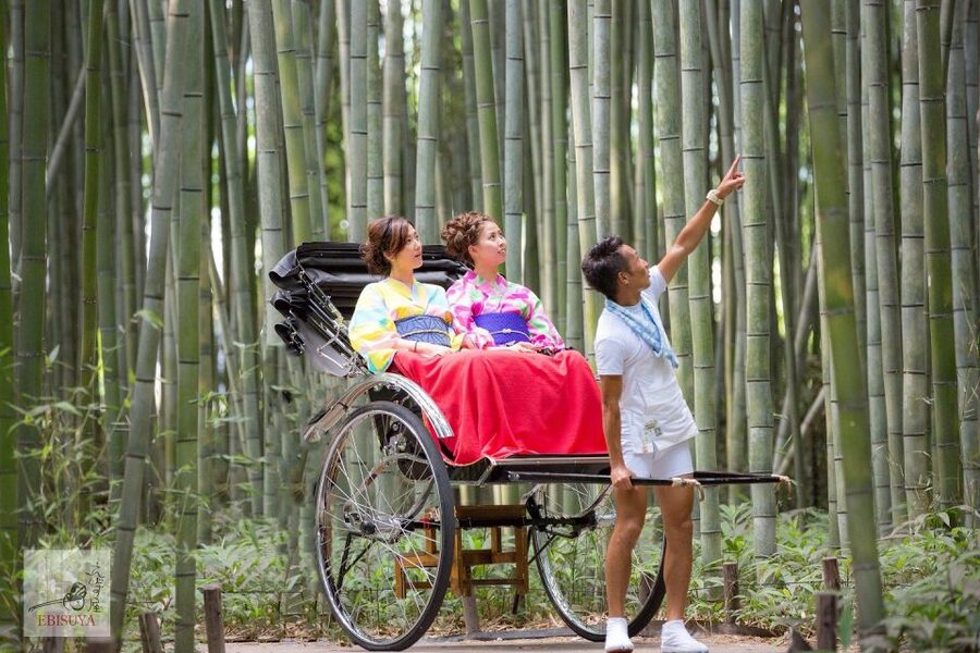 Kyoto: Arashiyama Customized Rickshaw Tour & Bamboo Forest - Weather, comfort, and the physical side
