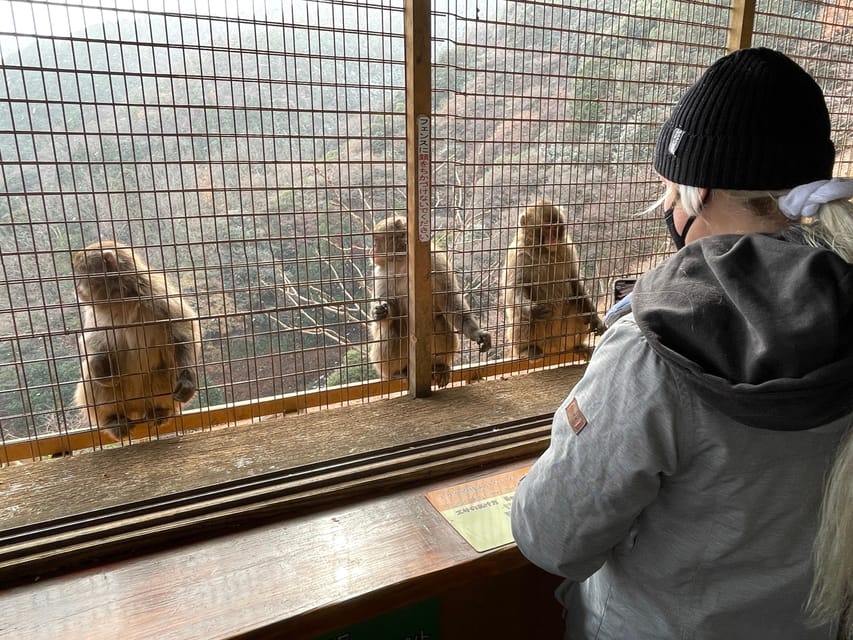 Kyoto: Arashiyama Guided Tour, Bamboo, Monkey, Zen Temple - Why this Arashiyama route works