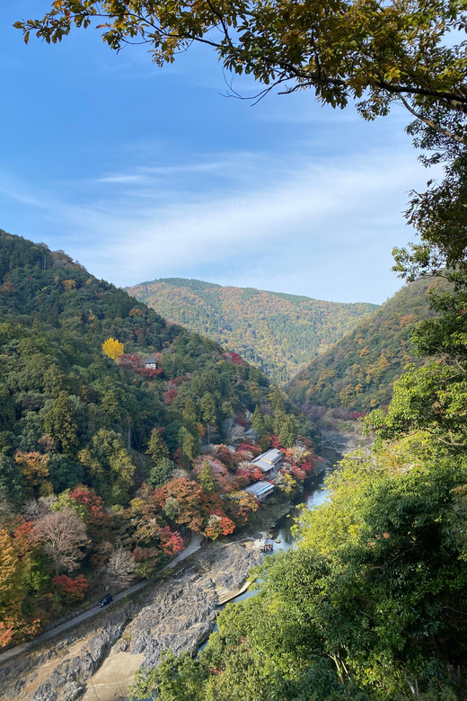 Kyoto: Arashiyama Guided Tour, Bamboo, Monkey, Zen Temple - Walking beneath Arashiyama’s bamboo
