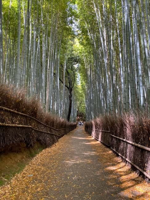 Kyoto: Arashiyama Guided Tour, Bamboo, Monkey, Zen Temple - Togetsukyo Bridge and the Katsura River