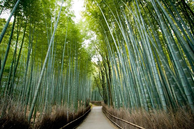 Kyoto Arashiyama Rickshaw Tour with Bamboo Forest - Nonomiya Shrine and the smaller stops
