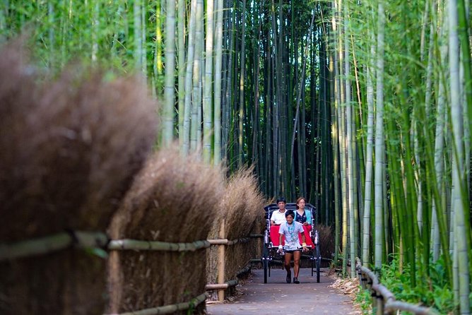 Kyoto Arashiyama Rickshaw Tour with Bamboo Forest - Who should book this ride?