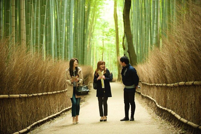 Kyoto Arashiyama Rickshaw Tour with Bamboo Forest - Why the guide matters so much