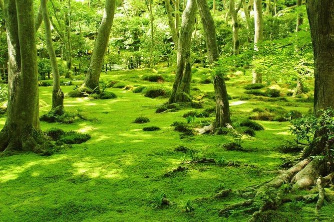 Kyoto Arashiyama & Sagano Bamboo Private Tour with Government-Licensed Guide - Adashino Nenbutsu-ji and Otagi Nenbutsu-ji