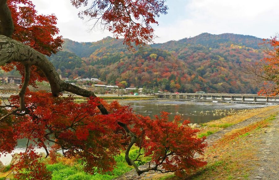 Kyoto: Arashiyama Tour with optional Sagano Romantic Train - Togetsukyo Bridge and Arashiyama Park