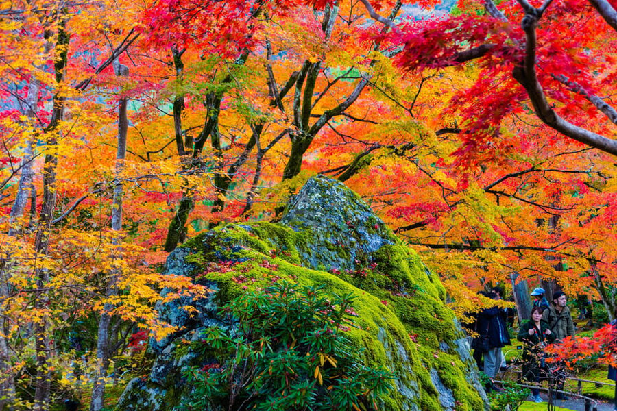 Kyoto: Arashiyama Tour with optional Sagano Romantic Train - Starting at Umahori for the Sagano Romantic Train