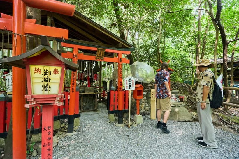 Kyoto: Arashiyama UNESCO Walking Tour with Admission - Walking through the Sagano Bamboo Grove