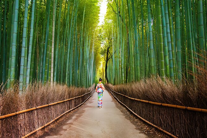 Kyoto Arashiyama Walking Tour: Bamboo, Monkeys, Gardens & Secrets - Why Arashiyama works better with a guide