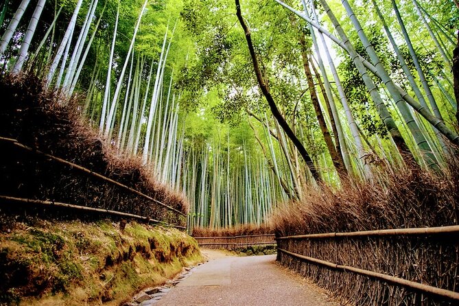 Kyoto Arashiyama Walking Tour: Bamboo, Monkeys, Gardens & Secrets - Walking the Bamboo Forest without stopping there