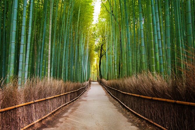 Kyoto Arashiyama Walking Tour: Bamboo, Monkeys, Gardens & Secrets - Tenryuji Temple and one of Japan’s finest gardens