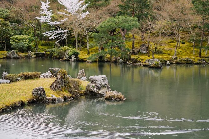 Kyoto Arashiyama Walking Tour: Bamboo, Monkeys, Gardens & Secrets - The Monkey Park hike is the real test