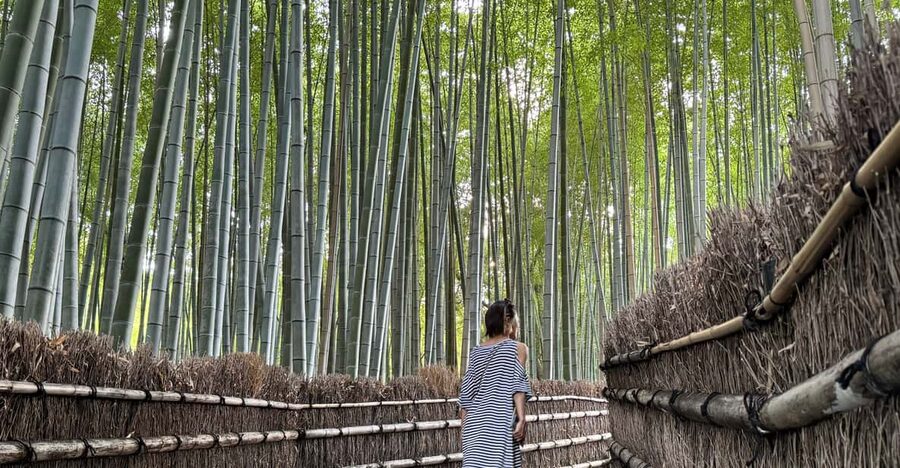 Kyoto: Avoid the Crowds at the Hidden Gems of Arashiyama - Key points at a glance