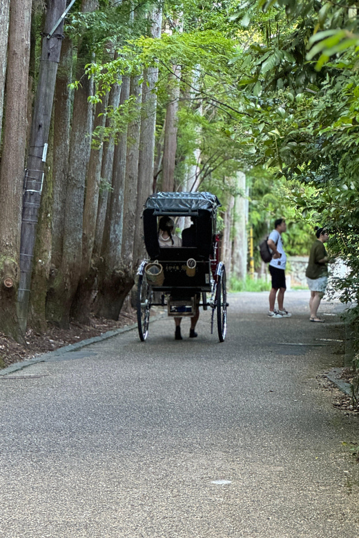 Kyoto: Avoid the Crowds at the Hidden Gems of Arashiyama - Why this route works better than a quick bamboo stop