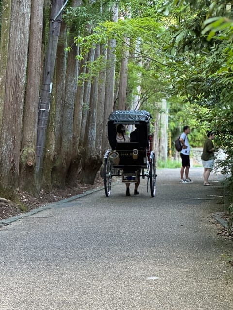 Kyoto: Avoid the Crowds at the Hidden Gems of Arashiyama - Arashiyama Park and the bamboo forest