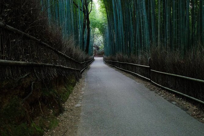 Kyoto Bamboo Forest & Golden Pavilion E-Bike Tour - Cycling Between the Temples and the Real City