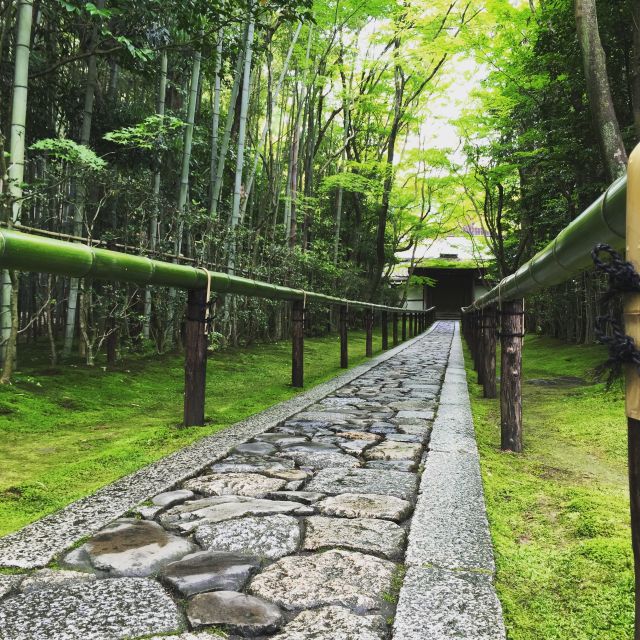 Kyoto: City Secrets eBike Tour - Why the back streets are worth your time