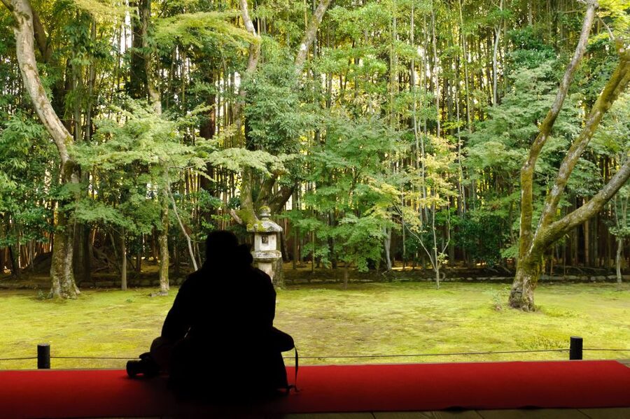 Kyoto: City Secrets eBike Tour - Safety, weather, and the right level of effort