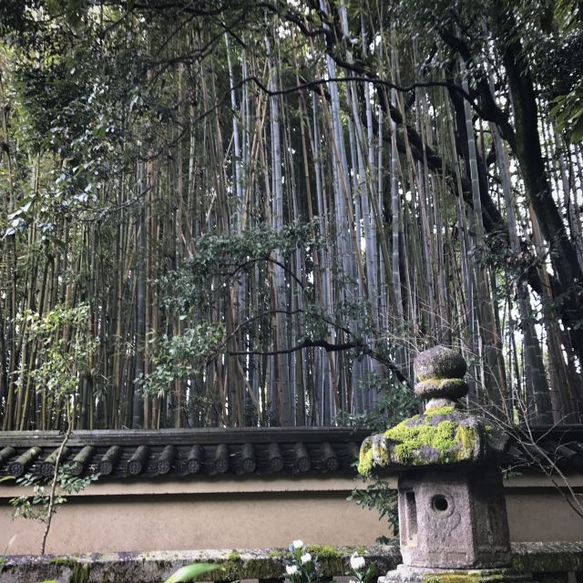 Kyoto: City Secrets eBike Tour - Is $127 a fair price for 225 minutes?