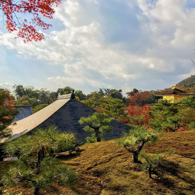 Kyoto: City Secrets eBike Tour - Who should book the City Secrets eBike Tour?