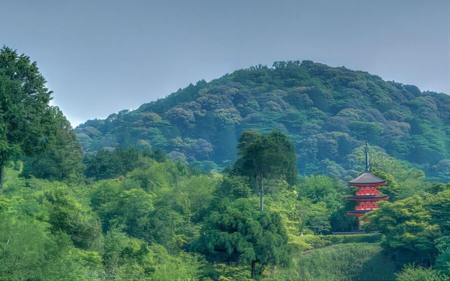 Kyoto: Customizable Full-Day Tour with Privarte Transfers - What the guide option really adds