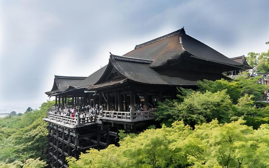 Kyoto: Customizable Full-Day Tour with Privarte Transfers - A 10-hour schedule needs realistic choices