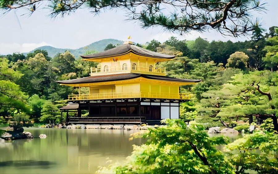 Kyoto: Customizable Full-Day Tour with Privarte Transfers - Vehicles, group size, and practical comfort
