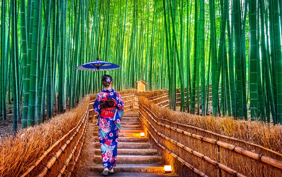 Kyoto Day Tour with Certified Tour Guide & Luxury vehicle - What $490 buys your group