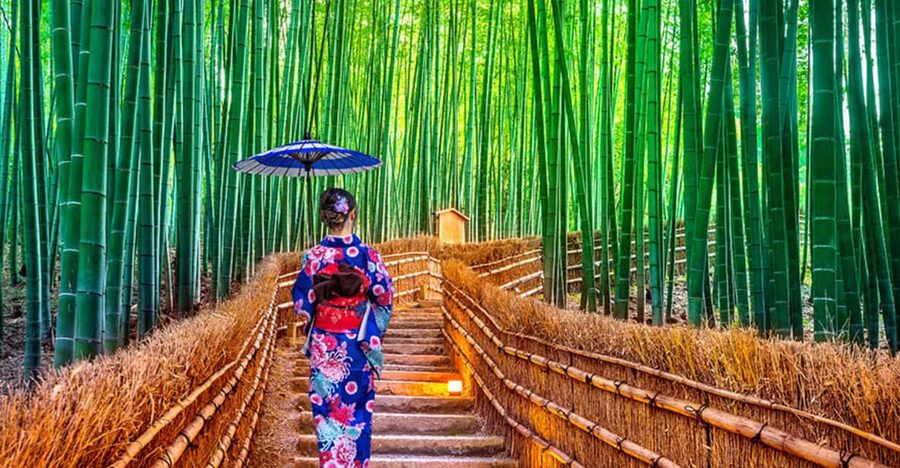 Kyoto Day Tour with Certified Tour Guide & Luxury vehicle - Arashiyama: bamboo, river views, and a busy opening
